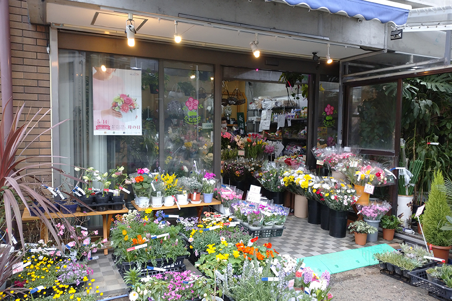 花と緑　たねなかイトーヨーカドー竹の塚店
